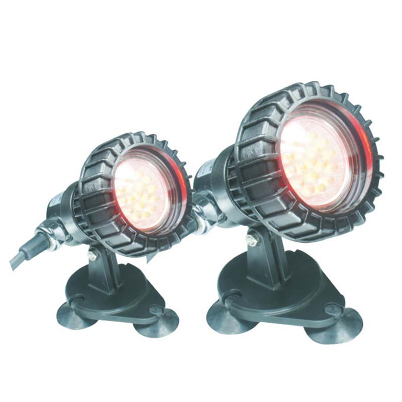 Balık Yer Üstü Gölet Dalgıç Işık